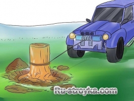 Как срубить дерево. Как срубить дерево.