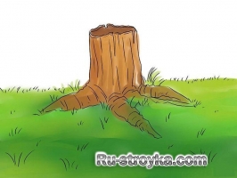 Как срубить дерево. Как срубить дерево.