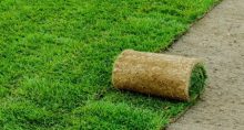 Газон в рулонах для разных задач: от дачи до спортивного поля