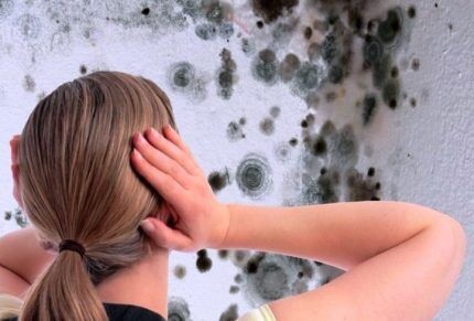 Что такое точка росы: ее связь со строительством + методика вычислений